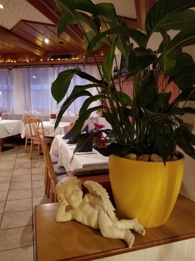 Alpenhotel Wildschoenau B&B Esterno foto