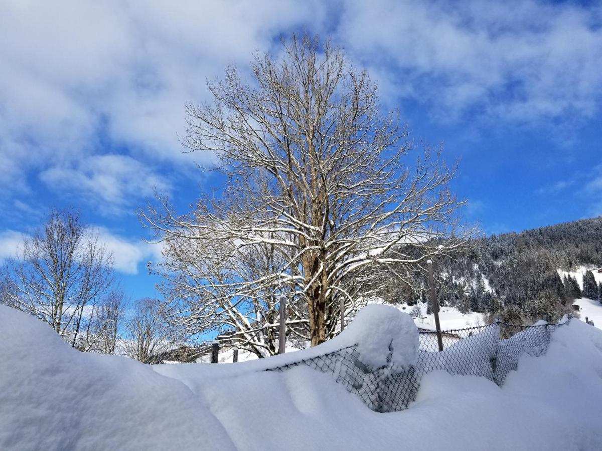Alpenhotel Wildschoenau B&B Esterno foto